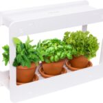 Mindful Design LED Indoor Herb Garden – at Home Mini Window Planter Kit for Herbs, Succulents, and Vegetables (White)
